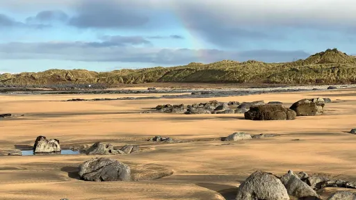 Endangered conceptual worlds